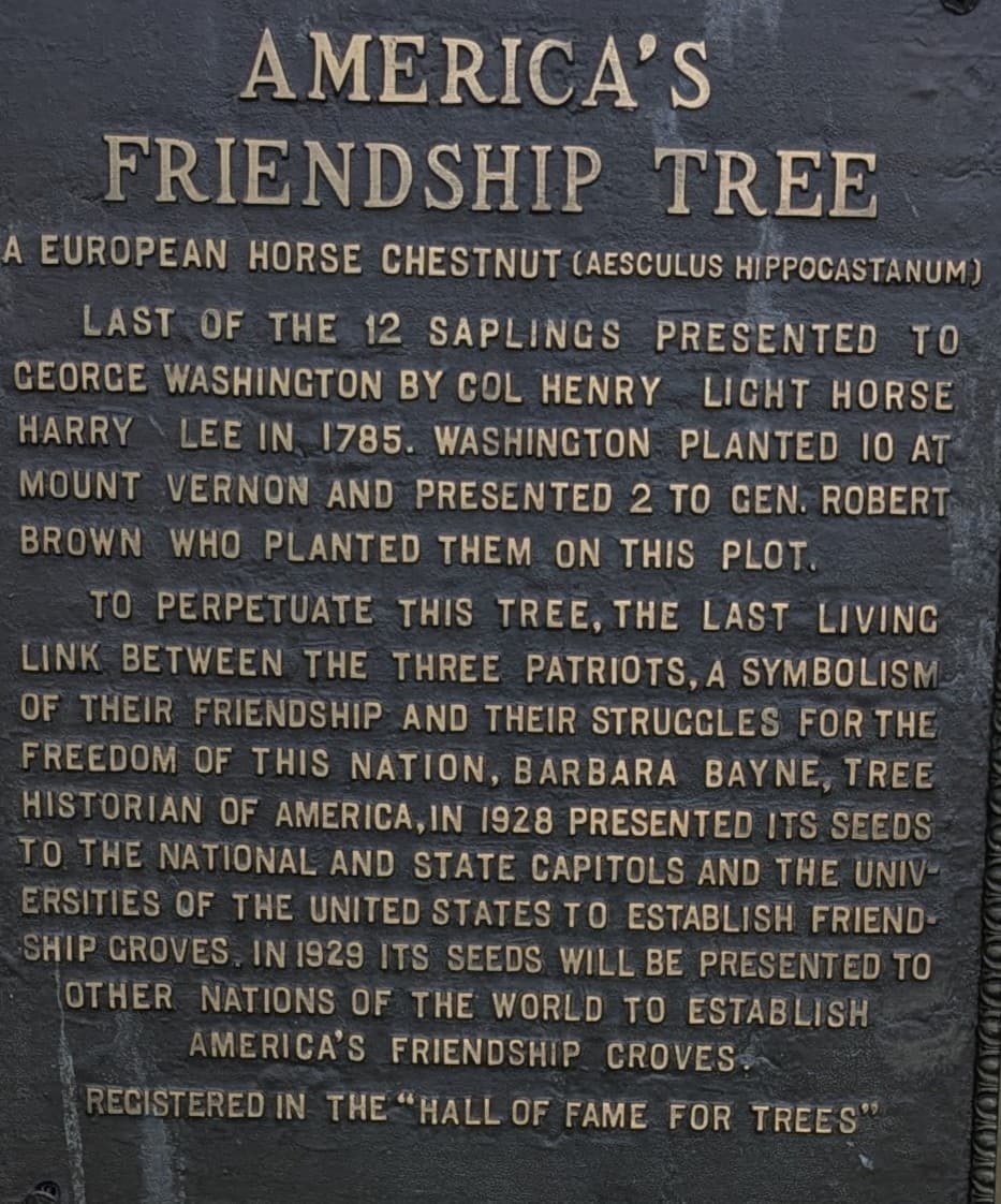 Friendship Tree commemorative plaque